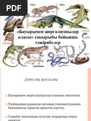 Жетілген сексуалды жесір әйел өзінің үйленген өгей ұлы эротикалық фильмді еліктіреді