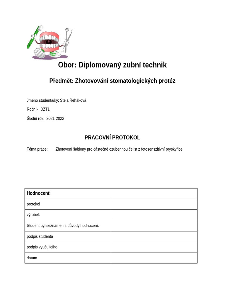 DZT - Protokol 3 Fin | PDF