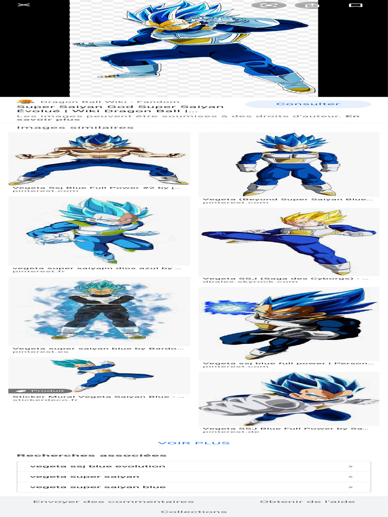 Super Saiyan Blue Evolution - Recherche Google | PDF