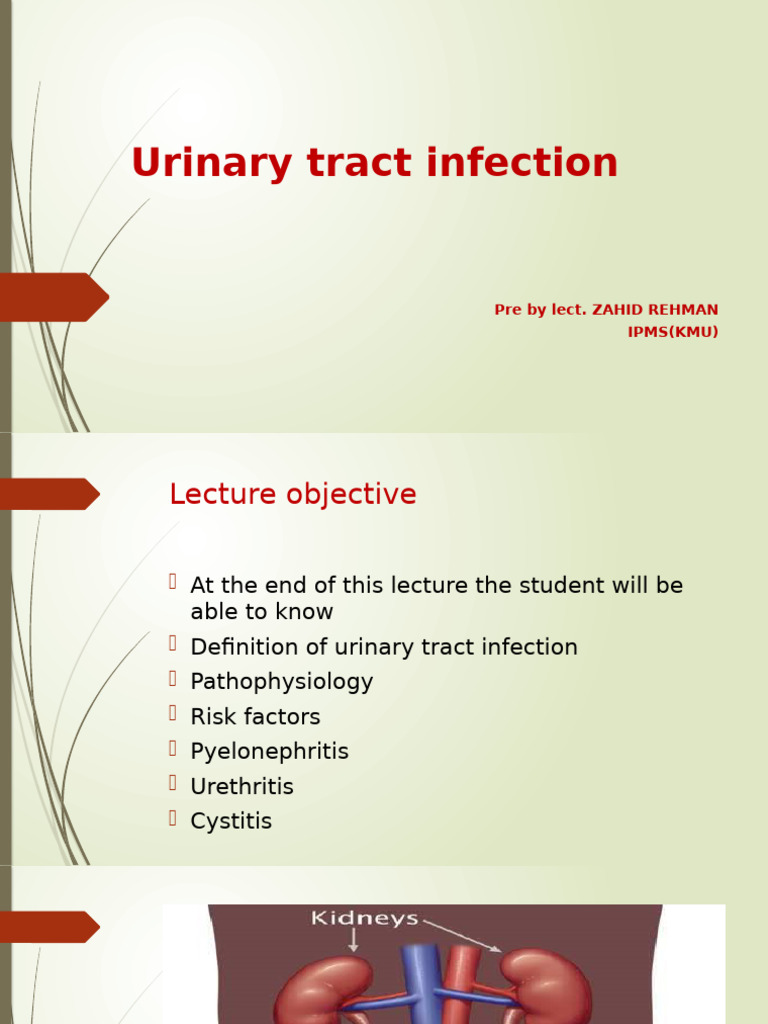 Urinary Tract Infection | PDF