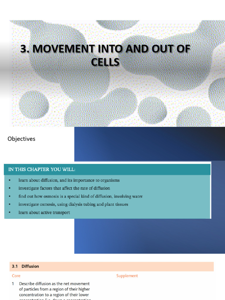 3rd Chapter - 3.1 | PDF