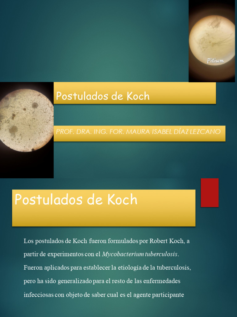 Lista De Postulados De Koch – Postulats De Koch – CCRH