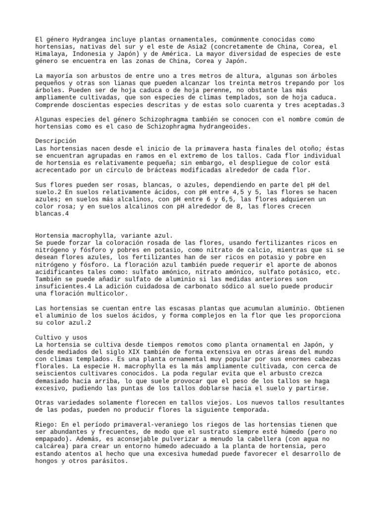 La Hydrangea | PDF