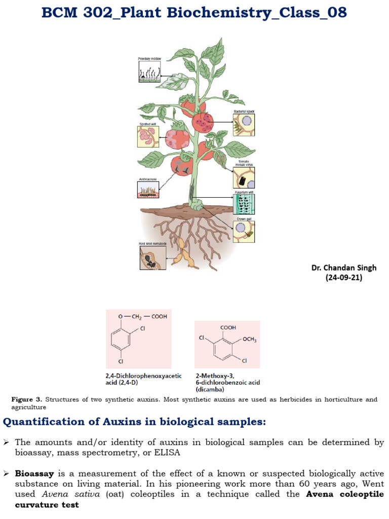 BCM302 Plant Biochemistry Class 08 | PDF