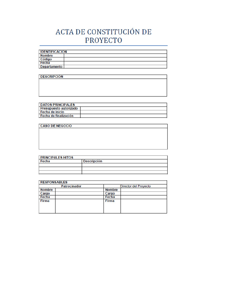 Acta de Constitucion Del Proyecto | PDF