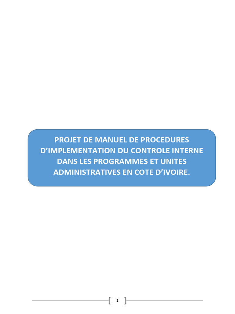 Manuel Du Controle Interne 1 Pdf