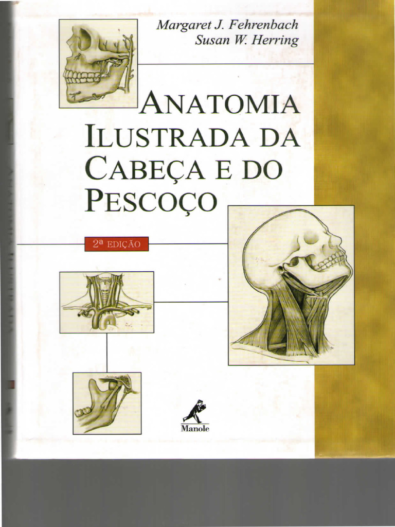 Anatomia Ilustrada Da Cabeã A e Do Pescoã o - Margaret | PDF