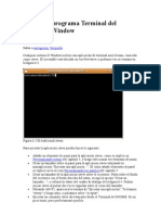Usando El Programa Terminal Del Sistema X Window
