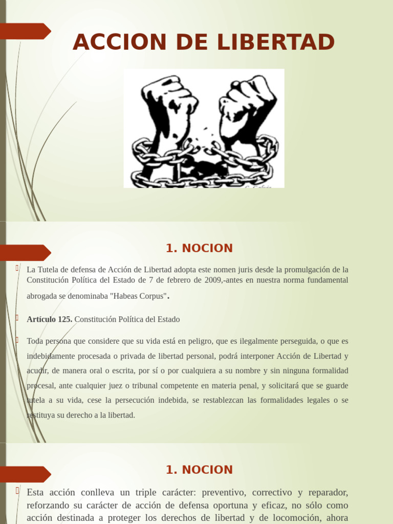 Presentacion Accion de Libertad | PDF