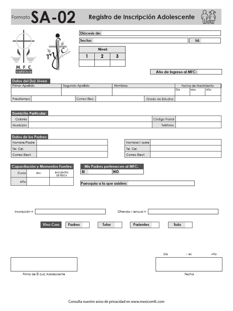 Formato Sa-02 | PDF