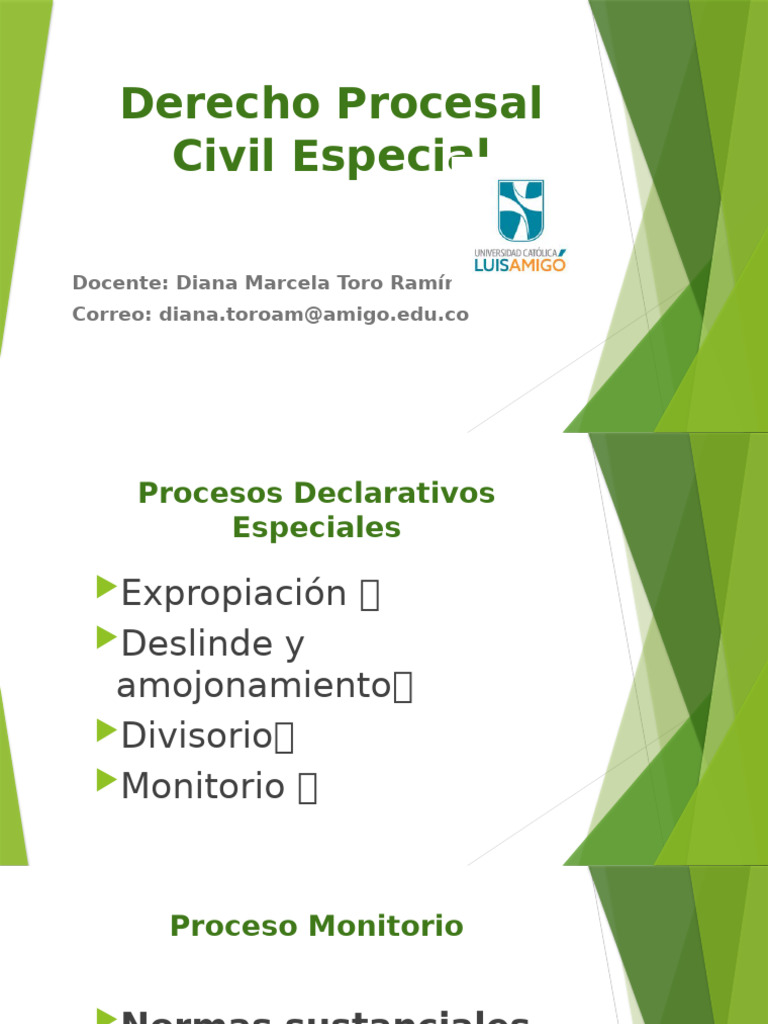 Proceso Monitorio | PDF