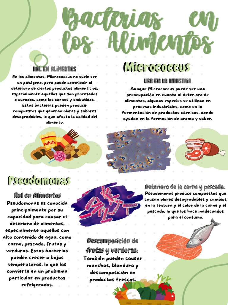 Bacterias en Alimentos | PDF