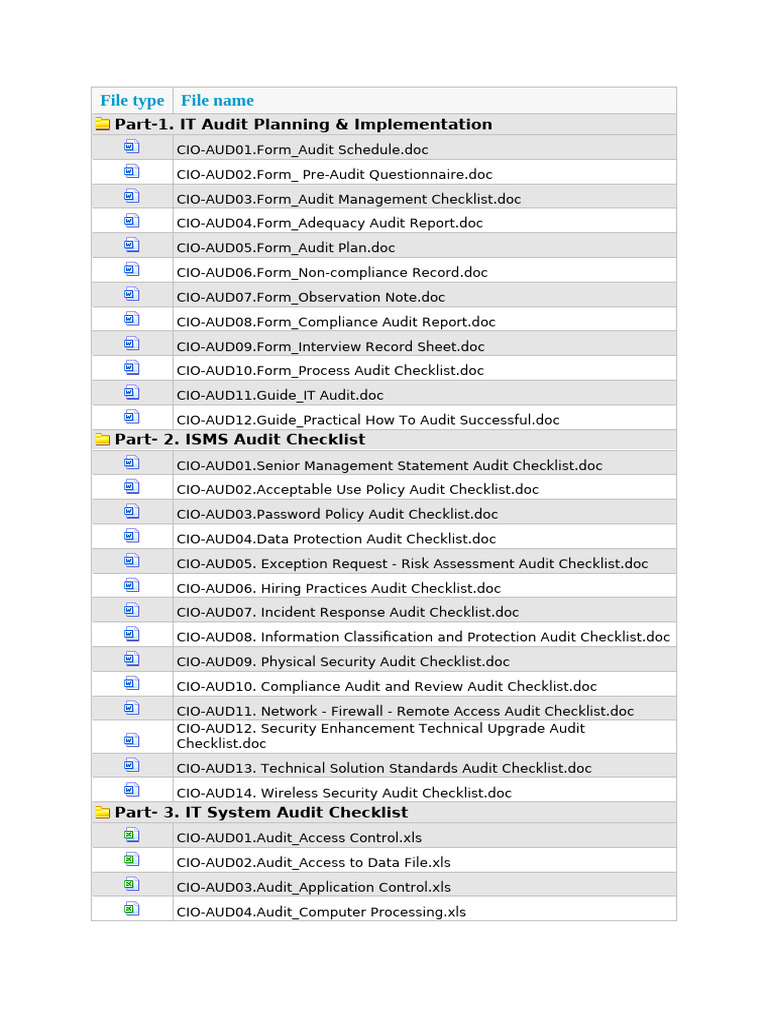 Toolkit Documents It Auditing | PDF