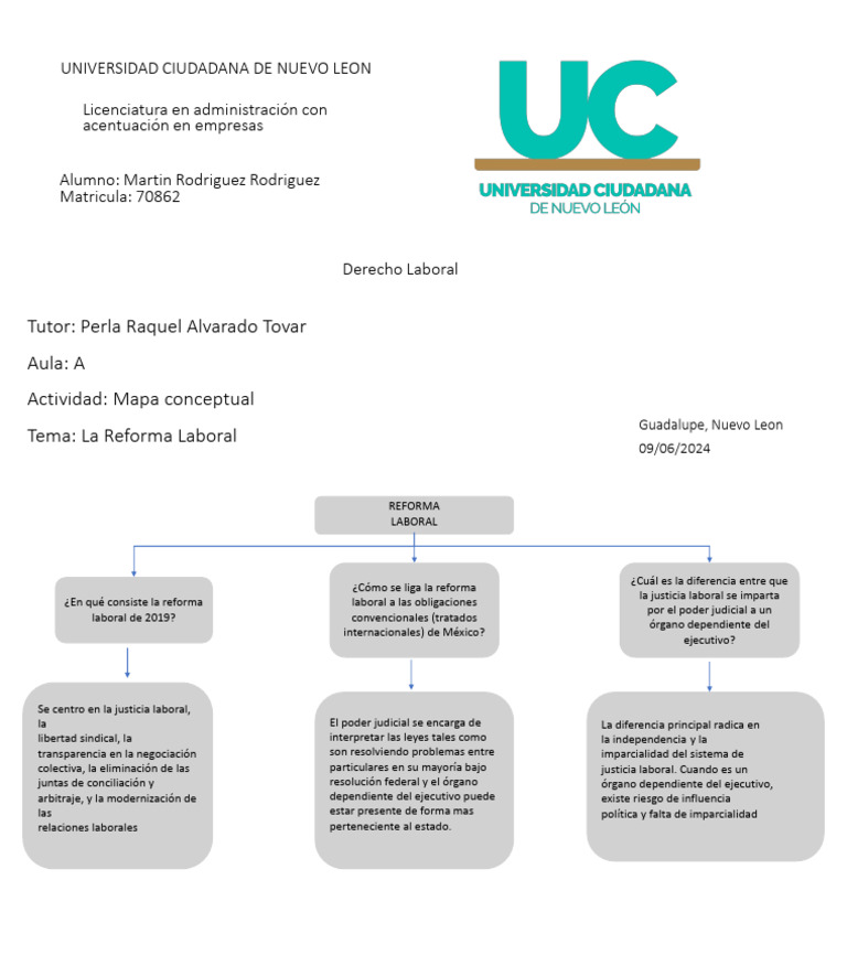 Mapa Conceptual Derecho Laboral | PDF