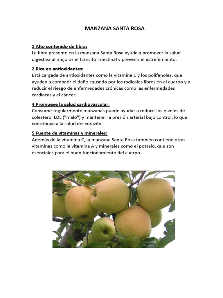 Beneficios de la Manzana Santa Rosa | PDF | Salud y bienestar | Estilo ...