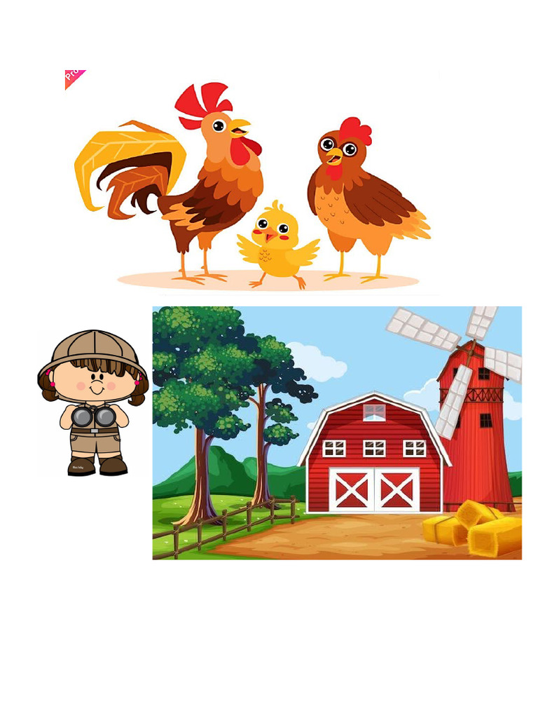 El Pollito | PDF