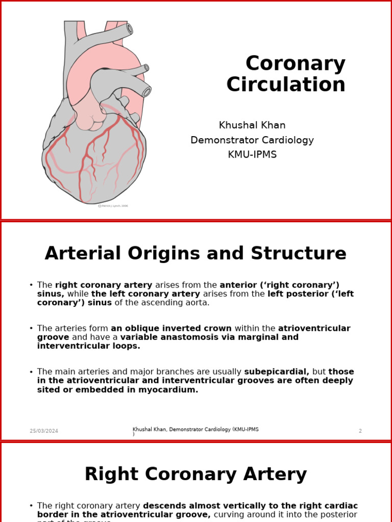Lecture 12 - Coronary Circulation | PDF