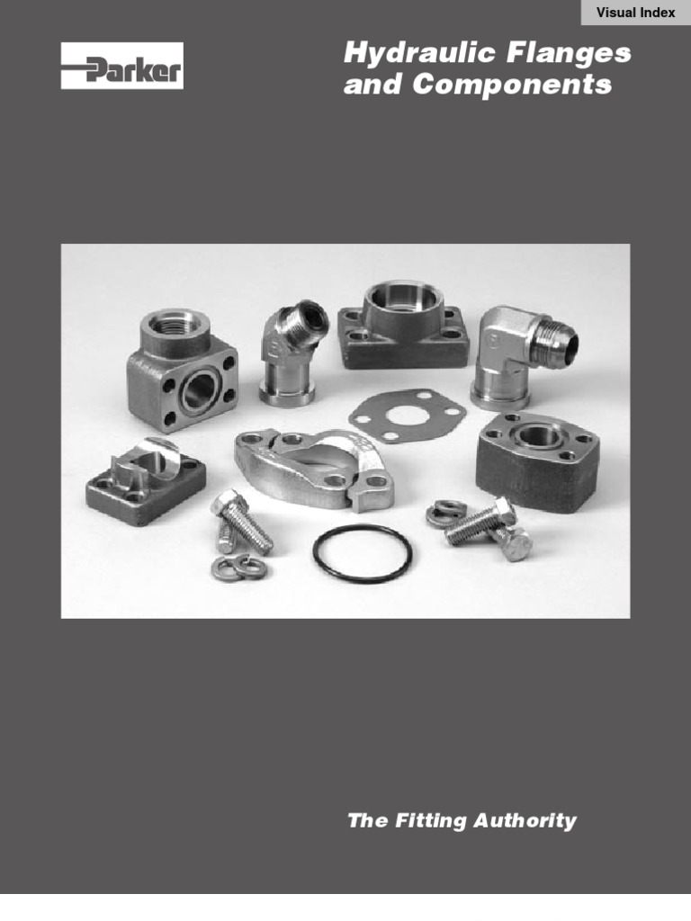 Hydraulic Flanges and Components PDF Pipe (Fluid Conveyance) Screw