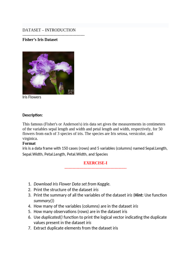 Iris | PDF