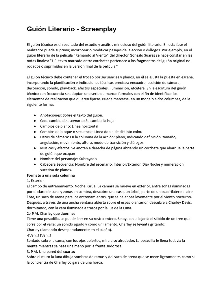1.2.3 Guión Técnico - Technical Script | PDF