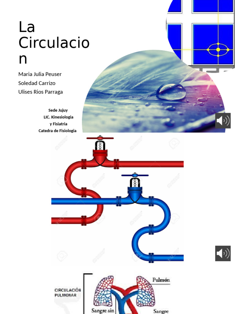 Unidad 5 clase 2 la circulacion pdf