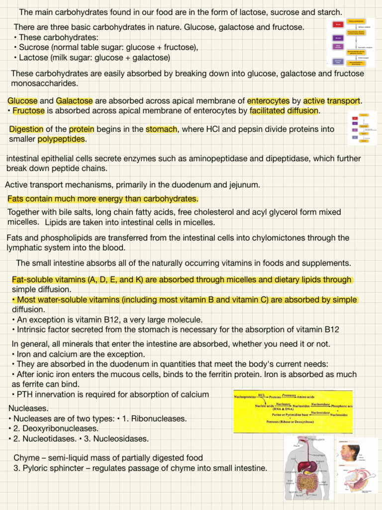 BMS 4 Review M | PDF