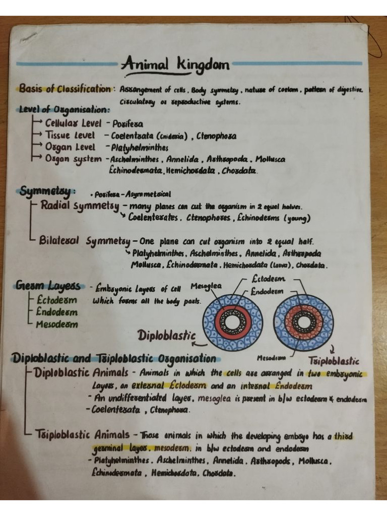 ANIMAL KINGDOM EXAMPLES CHART PDF visual data 8