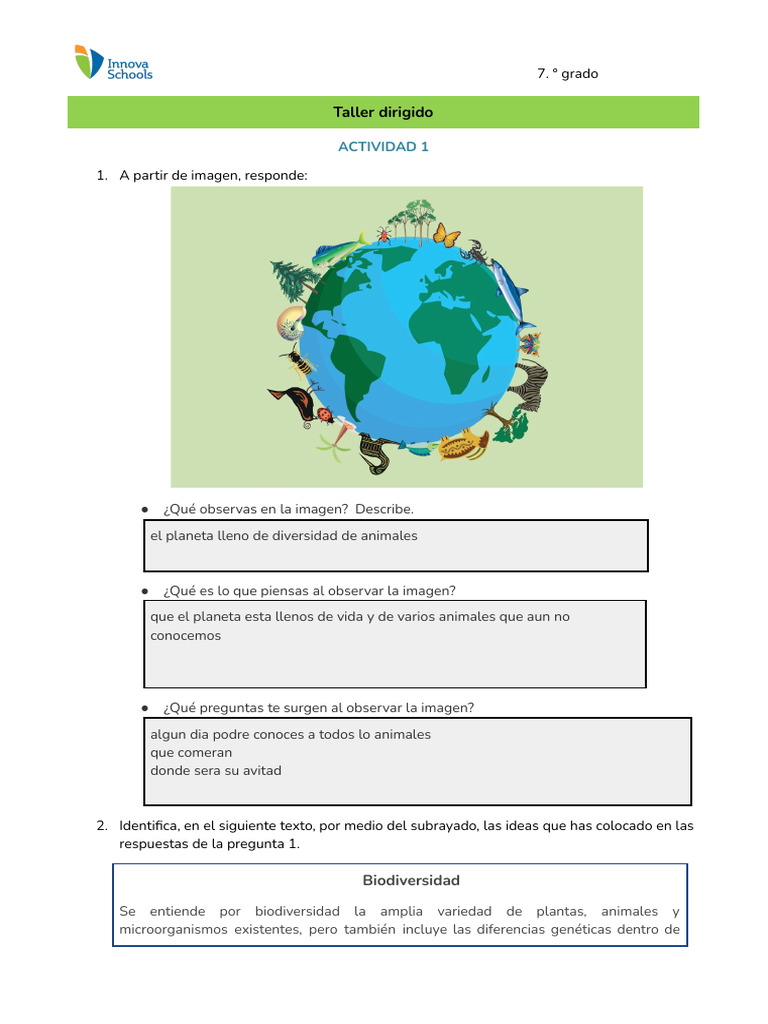 Dyland Gallegos Rios [Template] Ficha 4 7.° grado Ficha