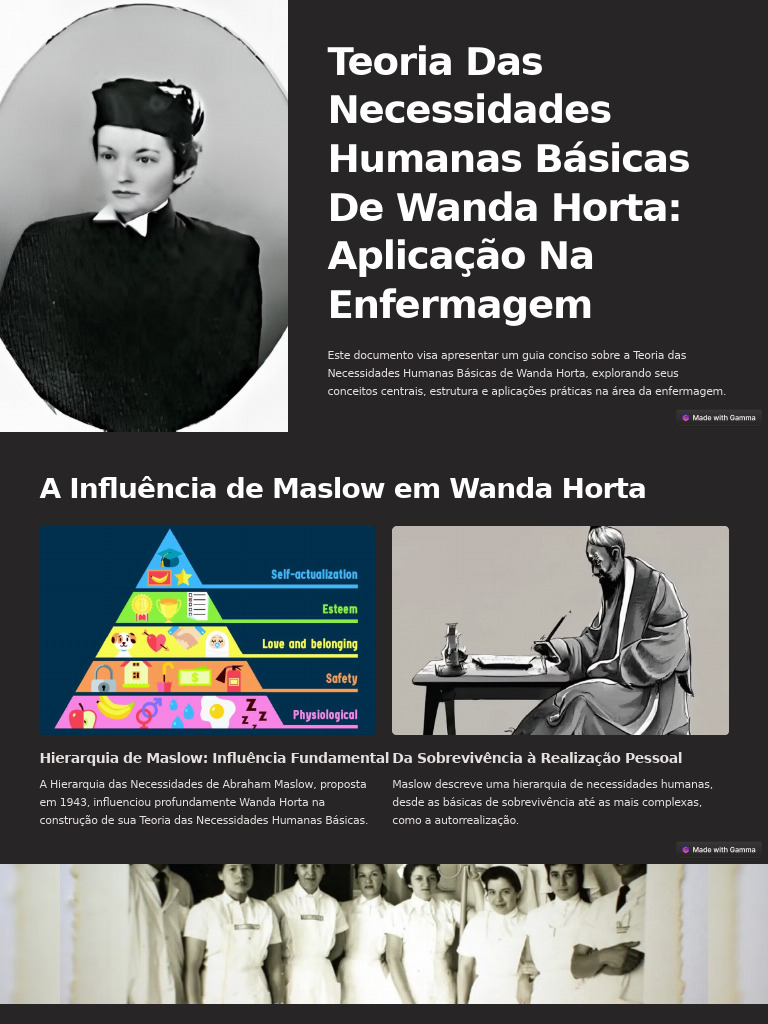 Teoria Das Necessidades Humanas Basicas de Wanda Horta Aplicacao Na ...