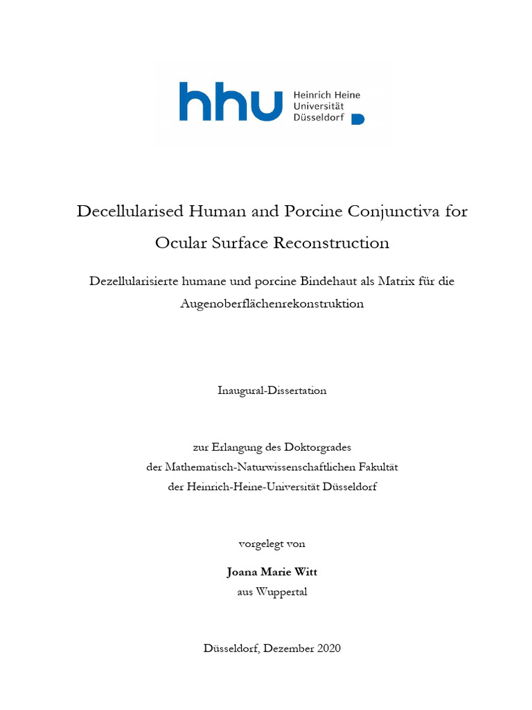 Dissertation Witt | PDF