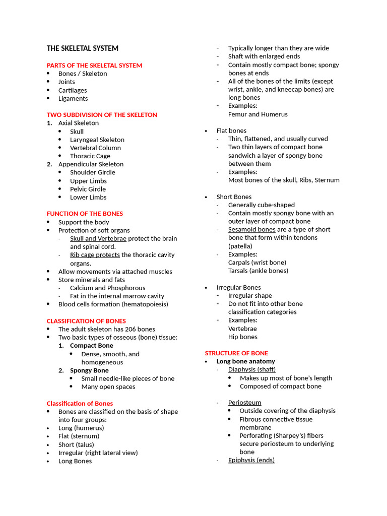 The Skeletal System | PDF