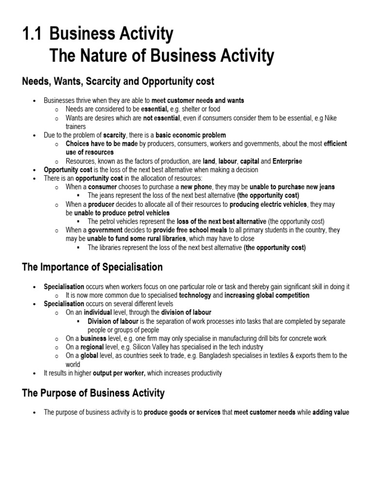 1.1 Business Activity | PDF