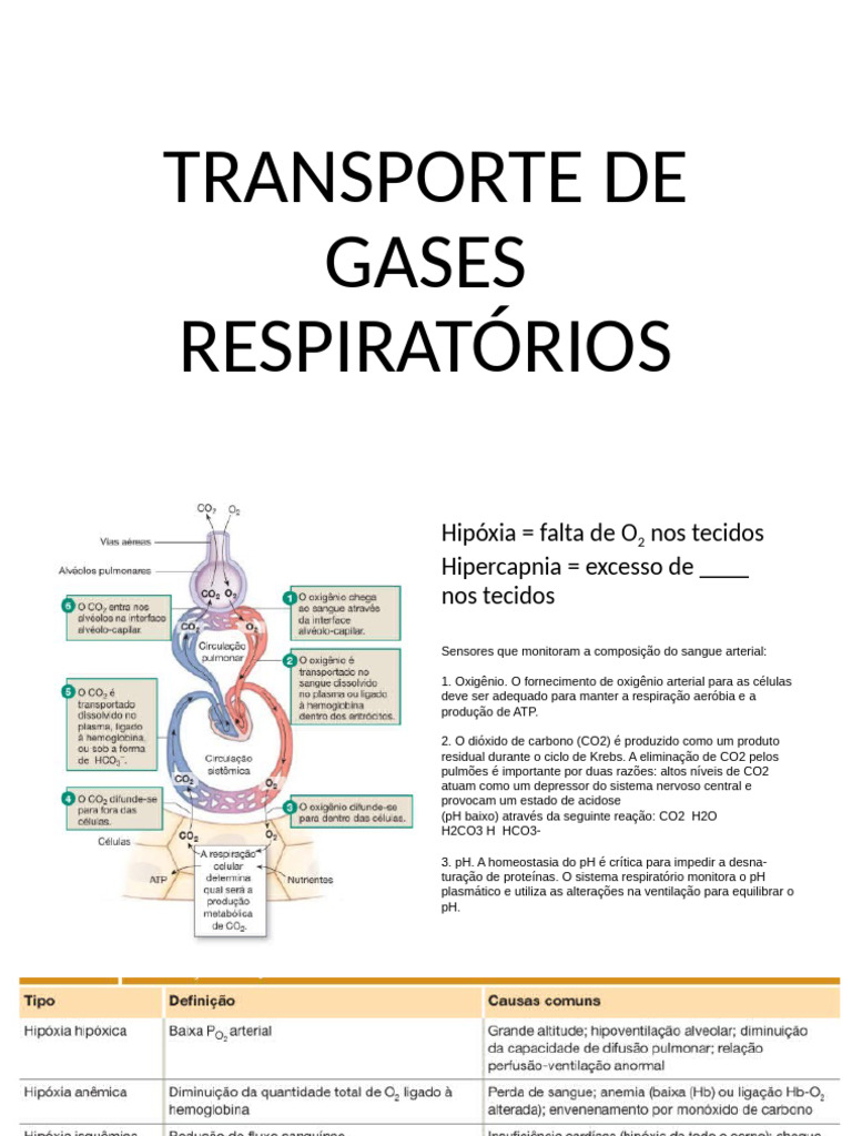 AULA BIOMED Transporte Gases | PDF
