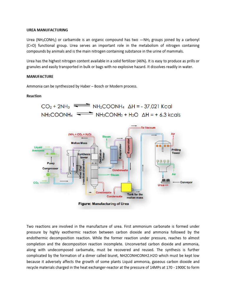 U-6 Urea Manufacturing | PDF