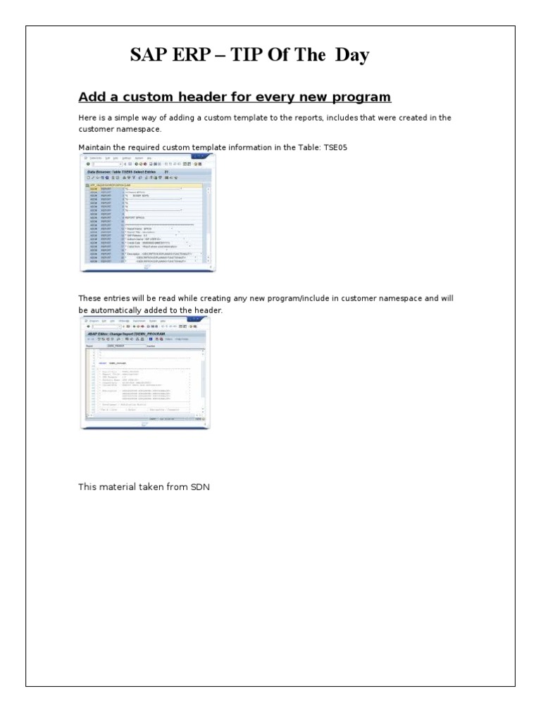 Custom Header for SAP ERP Programs | PDF