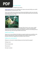 Download Pengertian Sectio Caesaria by Nova VaanDda Hidayat SN77221559 doc pdf