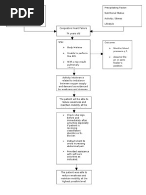 nursing concept maps for chf