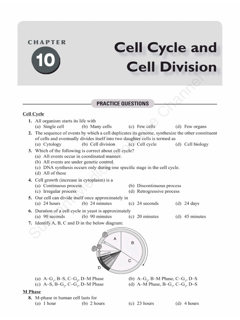 Cell Cycle and Cell Division | PDF