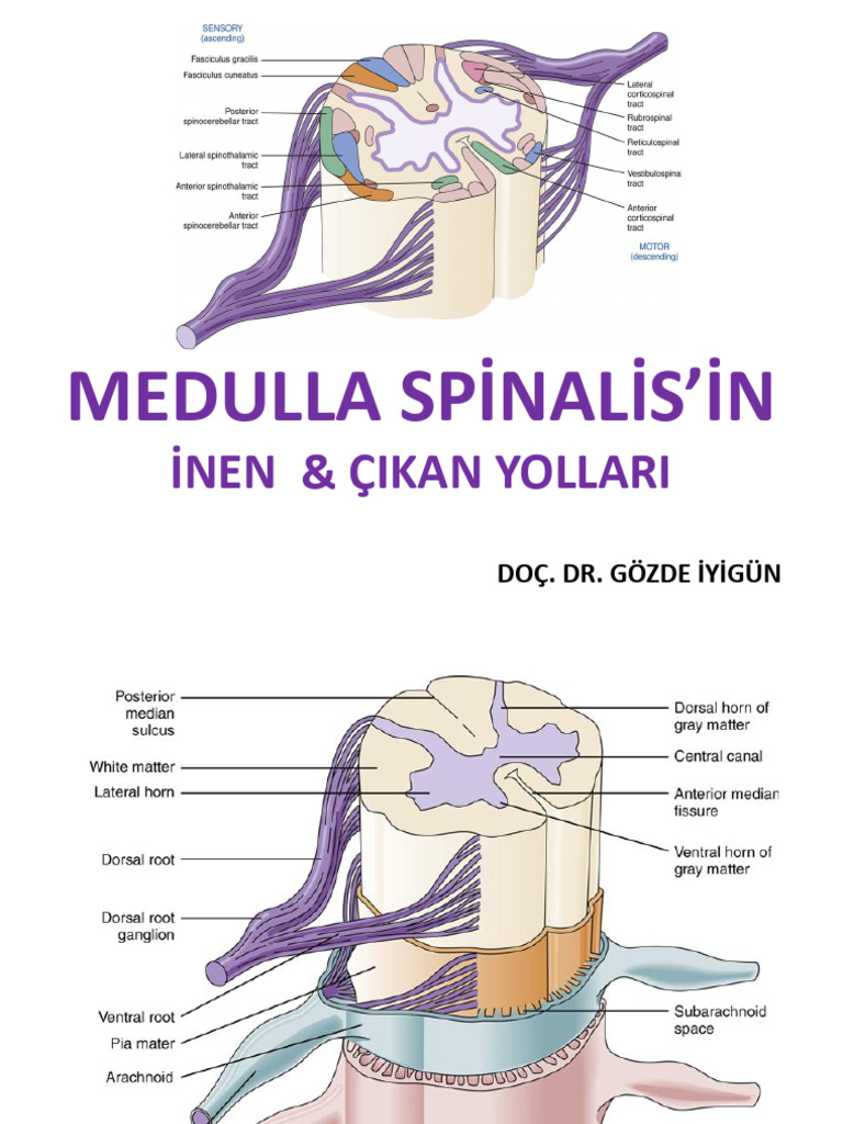 İnen Çıkan Yollar 2021-2022-2 - Kopyası | PDF
