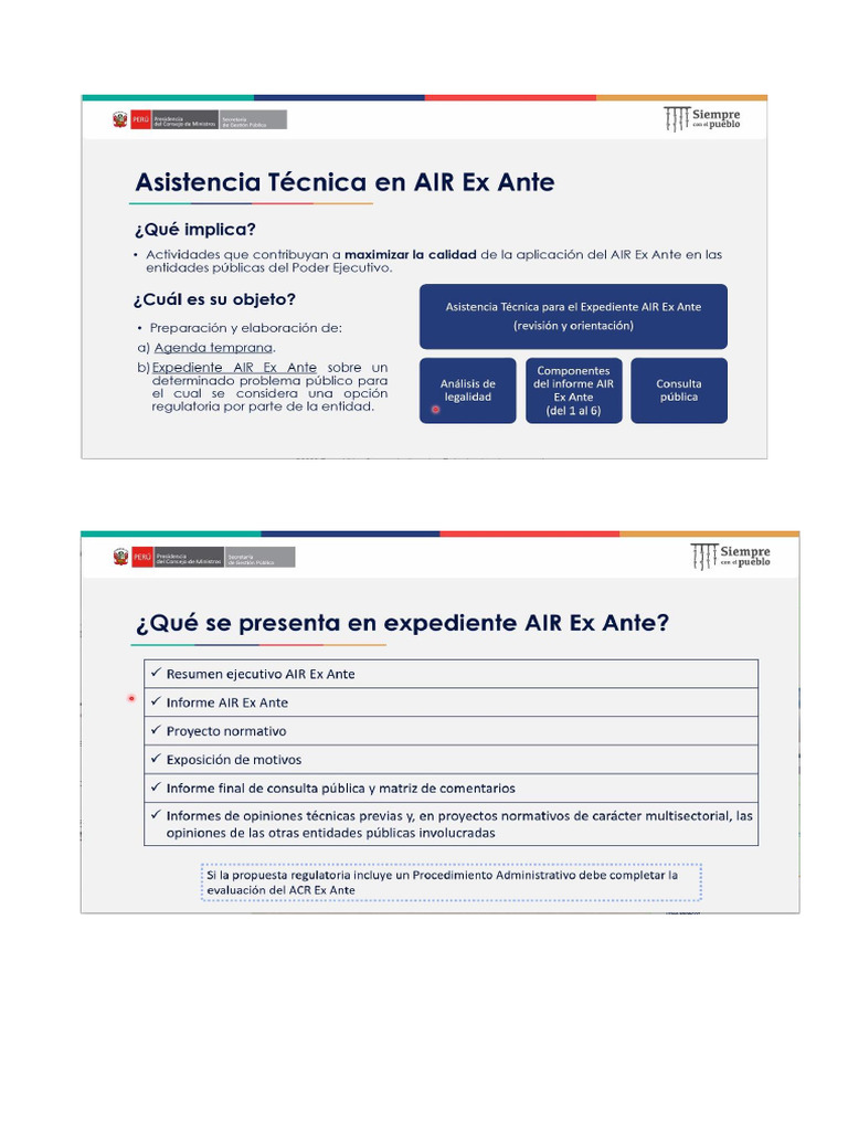 Presentación RIA | PDF