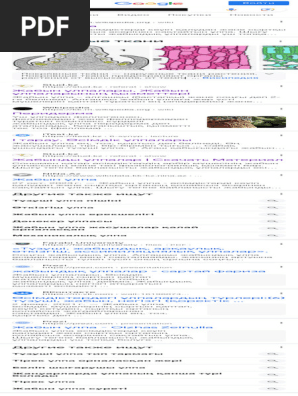 Үшінші рейх нацистік порно видеолар