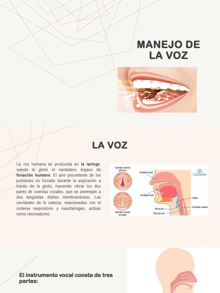 Manejo de La Voz | PDF