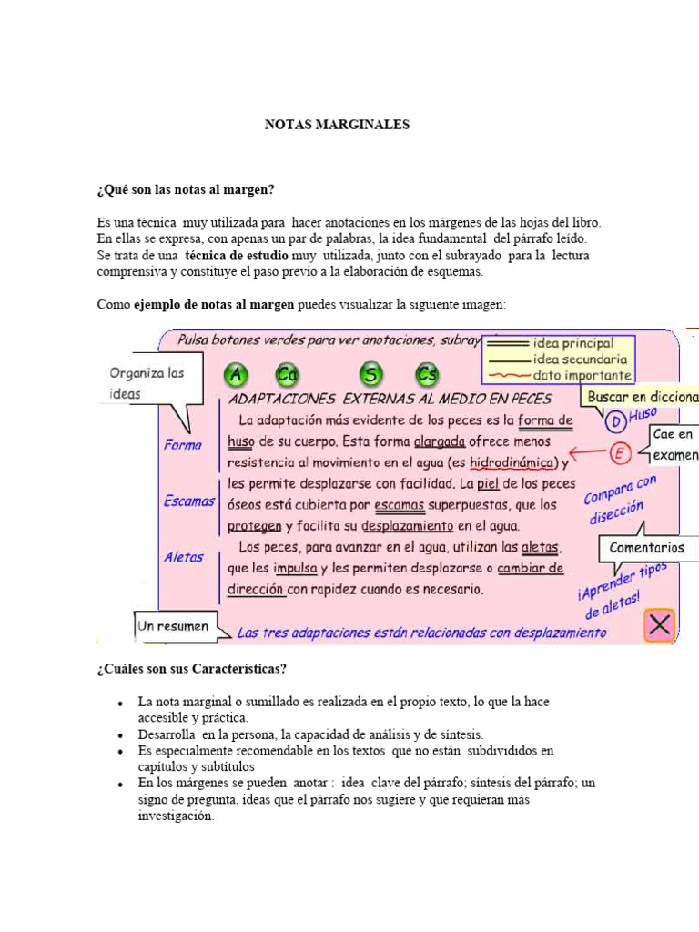 Notas Marginales y Toma de Apuntes. | PDF | Habilidades de estudio ...