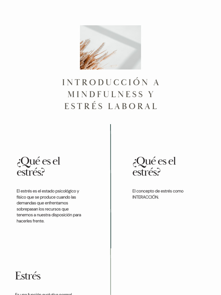 Introduction To Stress and Mindfulness at Work | PDF