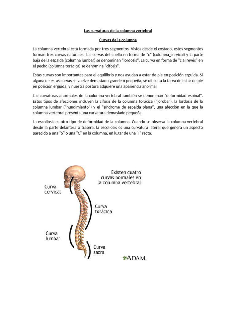 21.04.2023 - Impresión - Las Curvaturas de La Columna Vertebral | PDF