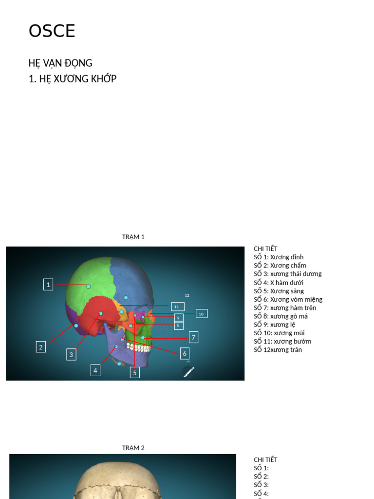 osce-review-pdf