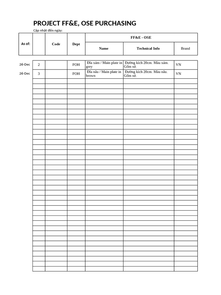 FF E OSE Template PDF