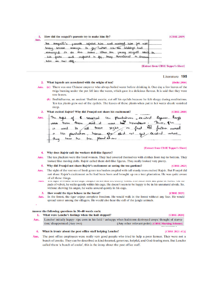 English Questions | PDF
