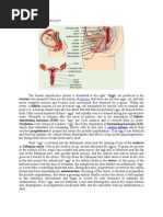 Rabbit Female Reproductive Anatomy | PDF | Wellness | Science & Mathematics