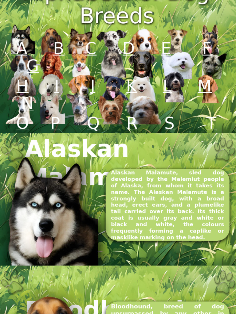 Alphabets Emtech Pdf